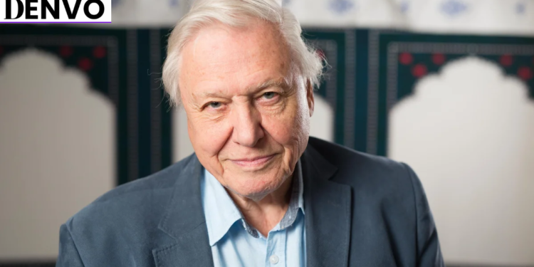 robert Attenborough