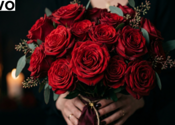 What Does a Red Rose Mean