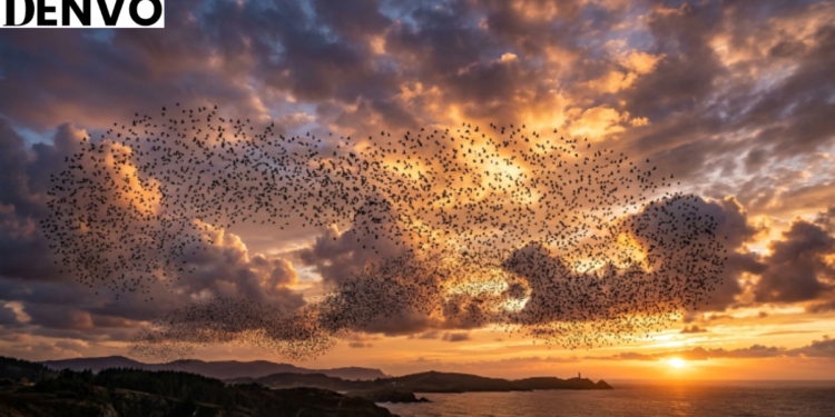 What Is Flocking