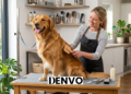 dog grooming tips at home